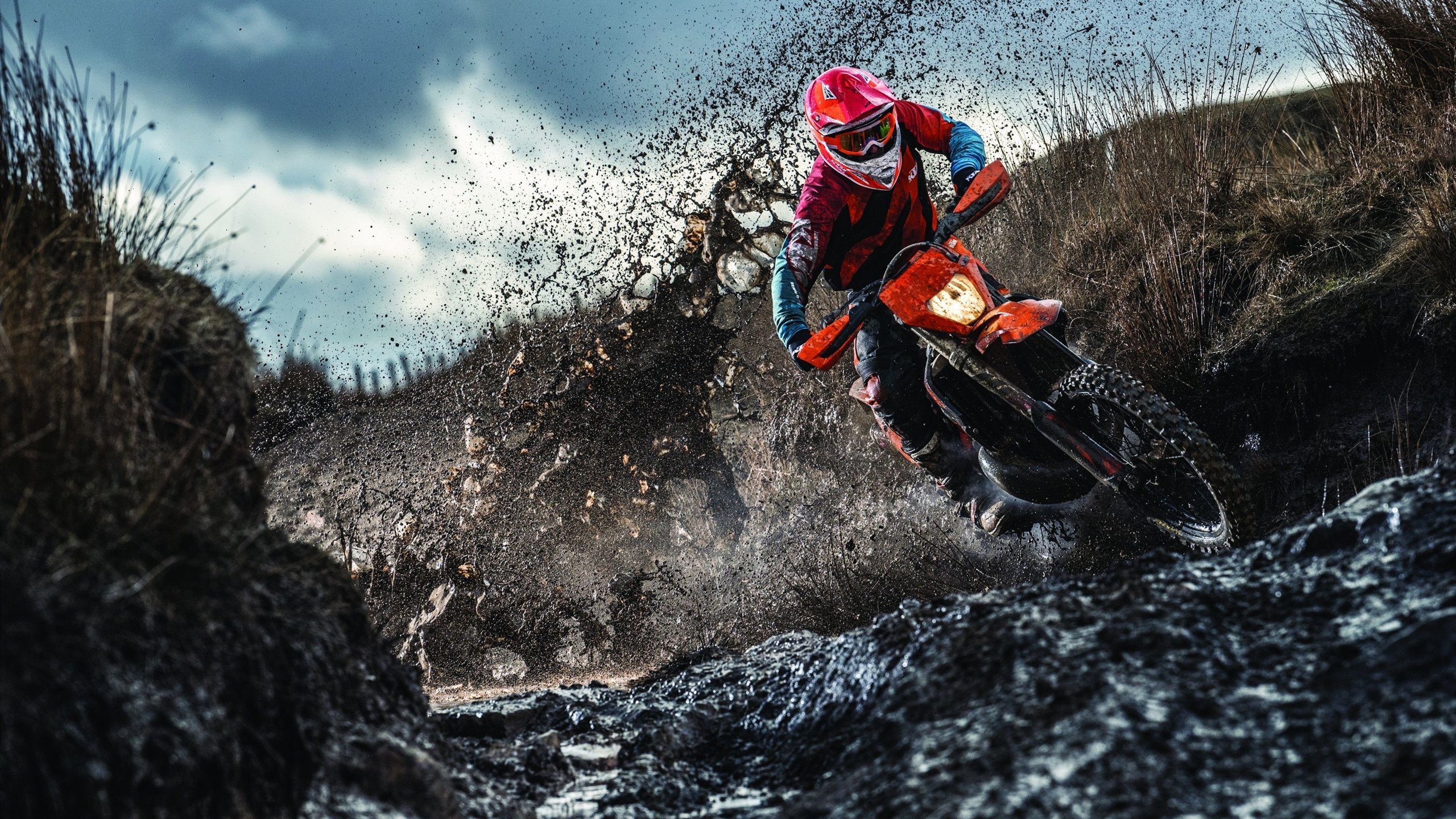 开云体育app官网-NBA西部乱了！三队争第二火箭跌出前五，nba西部火箭排第几名